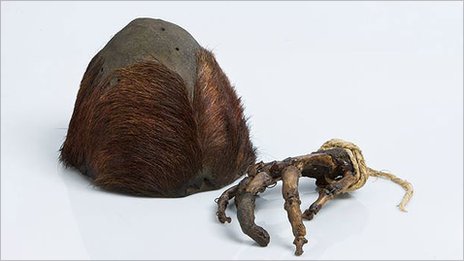 bigfoot scalp